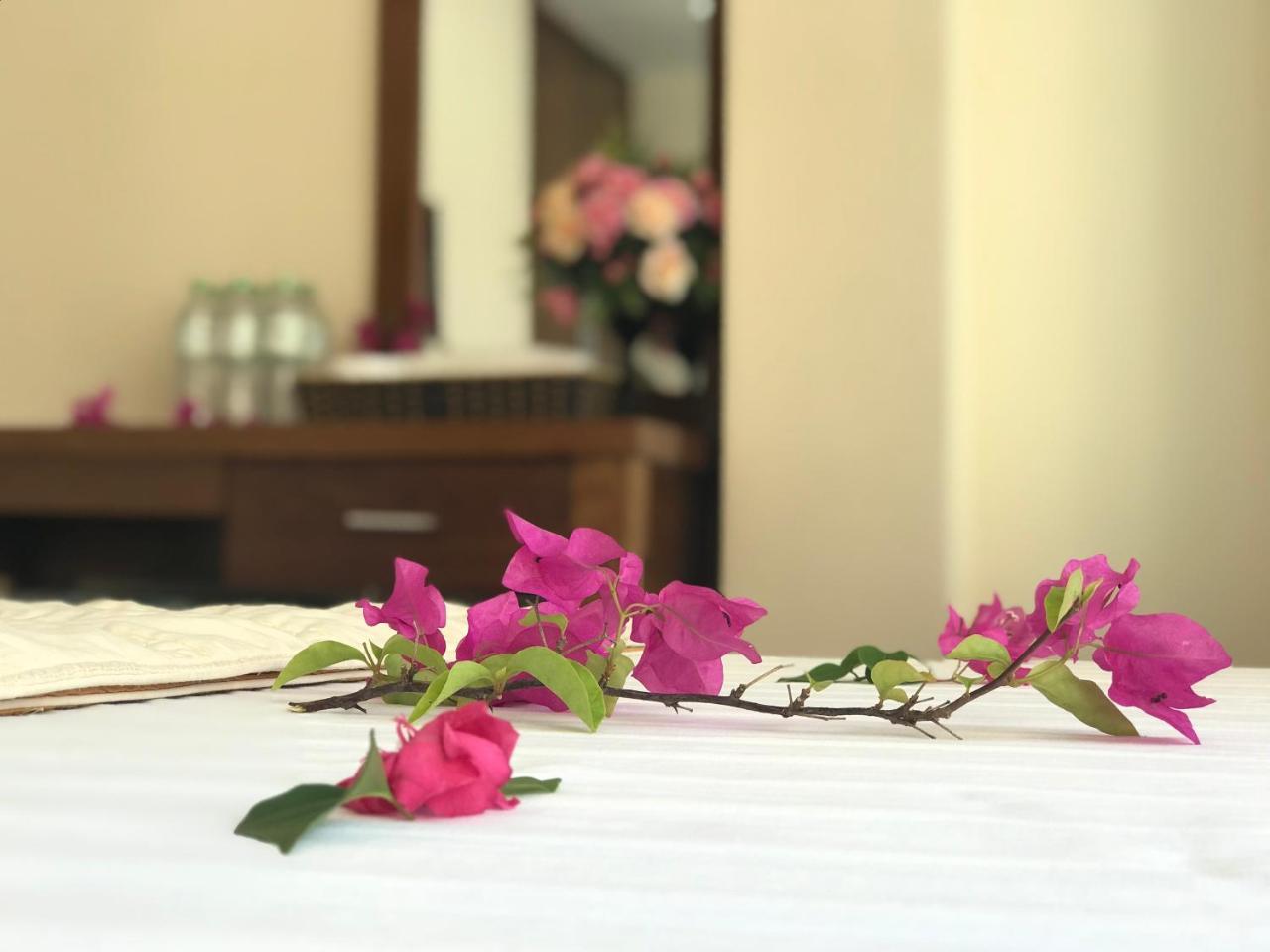 Ha Vy Hotel Кат-Ба Экстерьер фото