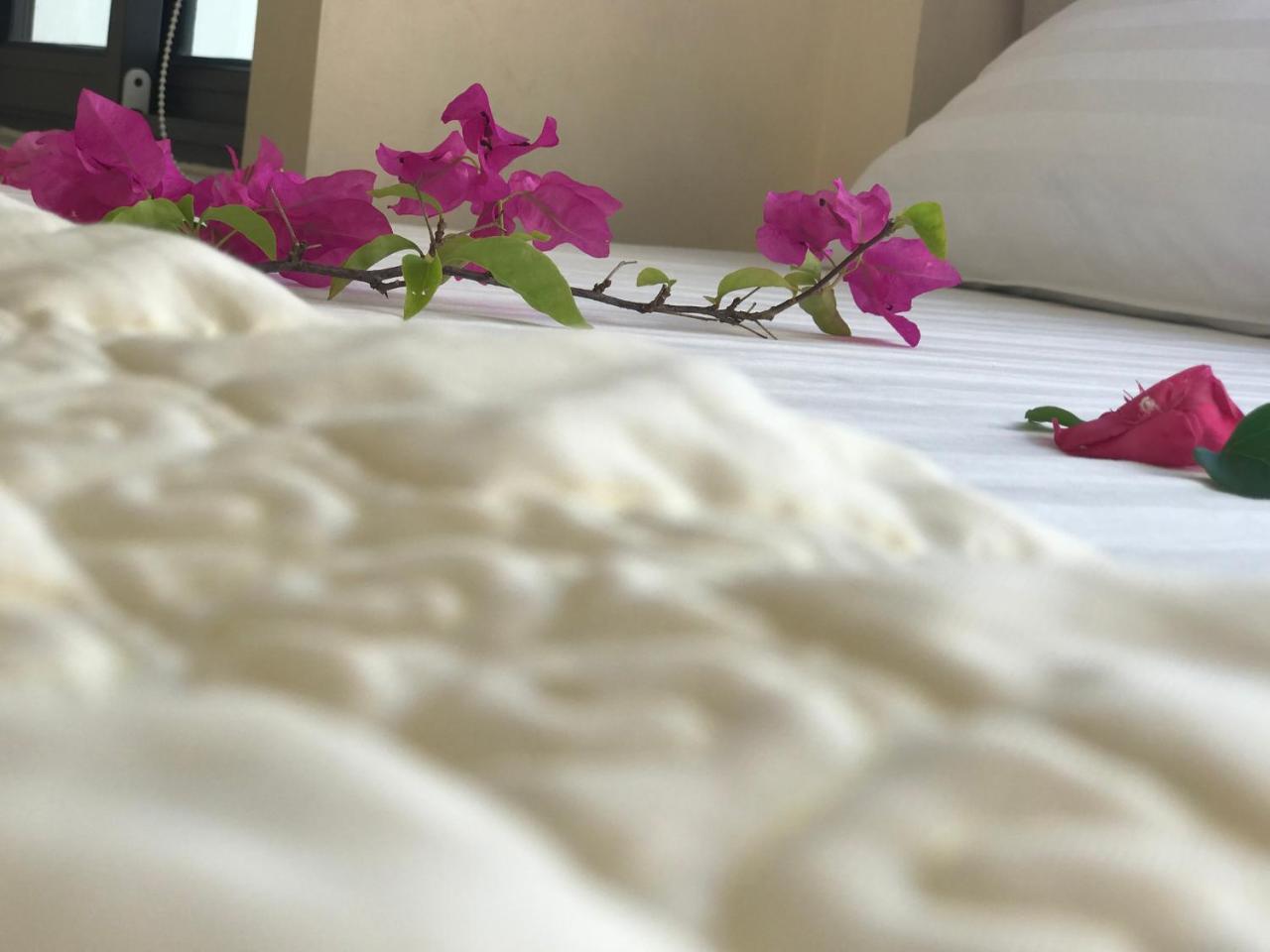 Ha Vy Hotel Кат-Ба Экстерьер фото